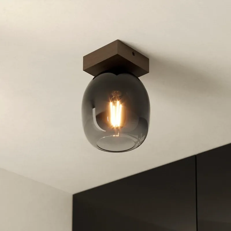 Retur gratuit Plafonieră Eglo 1xE27/40W/230V