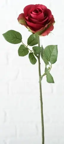 Cumpără acum Trandafir artificial Pfingstrose rosu 66/8 cm